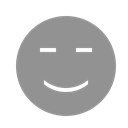 Face, smiling LightSlateGray icon