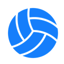 volleyball DodgerBlue icon