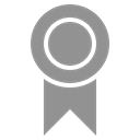 award LightSlateGray icon