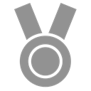medal LightSlateGray icon