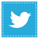 twitter, tweet, square DodgerBlue icon