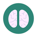 Brain SeaGreen icon