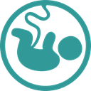 Fetus, baby, pregnancy LightSeaGreen icon
