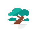 Bonsai Black icon