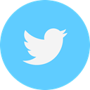 twitter LightSkyBlue icon