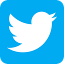 twit, twitter bird, tweet, twitter, twits DeepSkyBlue icon