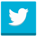 media, bird, twitter, Social, marketing, Animals, tweet, Animal, Communication DarkTurquoise icon