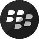 Blackberry DarkSlateGray icon