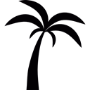 summer, Summertime, Beach, tropical, nature, Palm Tree Black icon