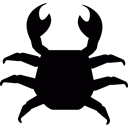 Animals, cancer, Crustacean, Beach, sea Black icon