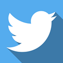 Social, twitter CornflowerBlue icon