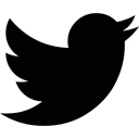bird, twitter, internet, web, network, Social, fly Black icon