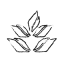 leafmaple, maple, maple leaf, Leaf, organic Black icon