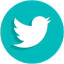 twitter, social network, Social, ui DarkTurquoise icon