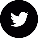 social network, online, Logo, bird, networking Black icon