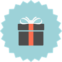 gift box, Box, present, gift, holiday package LightBlue icon