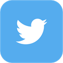 twitter CornflowerBlue icon