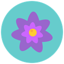blossom, nature, flowers, Aroma, Flower MediumTurquoise icon