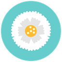 Flower, Aromaм, flowers, nature, marigold, blossom MediumTurquoise icon