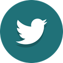 Social, tweeting, twitter, tweet Teal icon