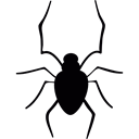 halloween, fear, insect, bug, scare, Spiders Black icon