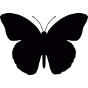 Butterflies, Flying, insect, Animal, fly, wings Black icon