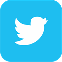 bird, twitter, logotype, Logo DeepSkyBlue icon