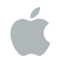 Apple, Classic, Logo, Identity, Company Silver icon