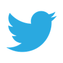 twitter, Identity, Logo, Company, new DodgerBlue icon