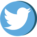 twitter, Social, network, web, media, tweet CornflowerBlue icon