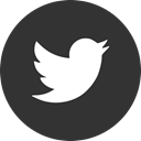 Social, twitter, online, media DarkSlateGray icon