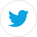 media, online, Social, twitter DodgerBlue icon