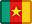 flag, Cameroon Gold icon