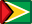 Guyana, flag SeaGreen icon