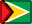 Guyana, flag Icon