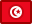 Tunisia, flag Crimson icon