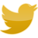 twitter, Social, media, bird Goldenrod icon