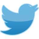 media, bird, Social, twitter CornflowerBlue icon