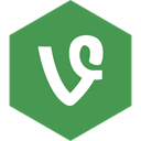 media, Vine, Hexagon, Social SeaGreen icon