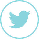 Logos, Social, twitter, internet SkyBlue icon