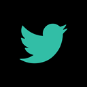 Social, online, twitter, media Black icon