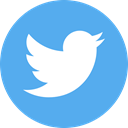 twitter CornflowerBlue icon