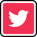 twitter, media, Social, online Crimson icon