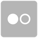 Flicker Silver icon