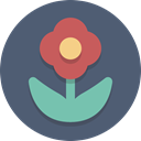 nature, plant, Flower DimGray icon