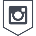 Logo, Instagram, media, Social DarkSlateGray icon