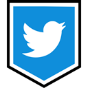 Logo, twitter, Social, media DodgerBlue icon