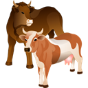 Cattle Black icon