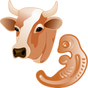 cow, embryo Black icon