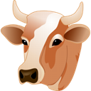 head, cow Peru icon